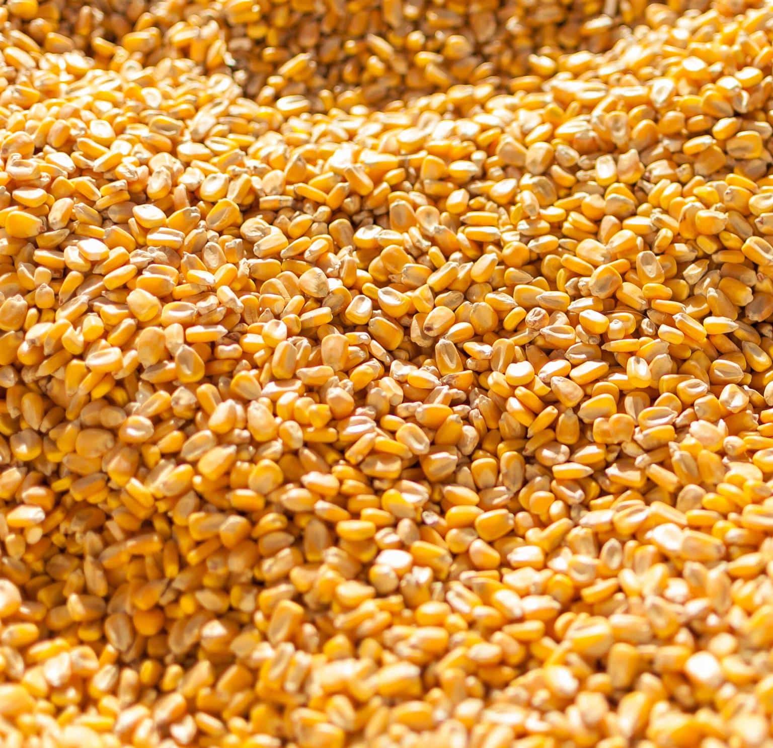 Maize Mixed - 1kg